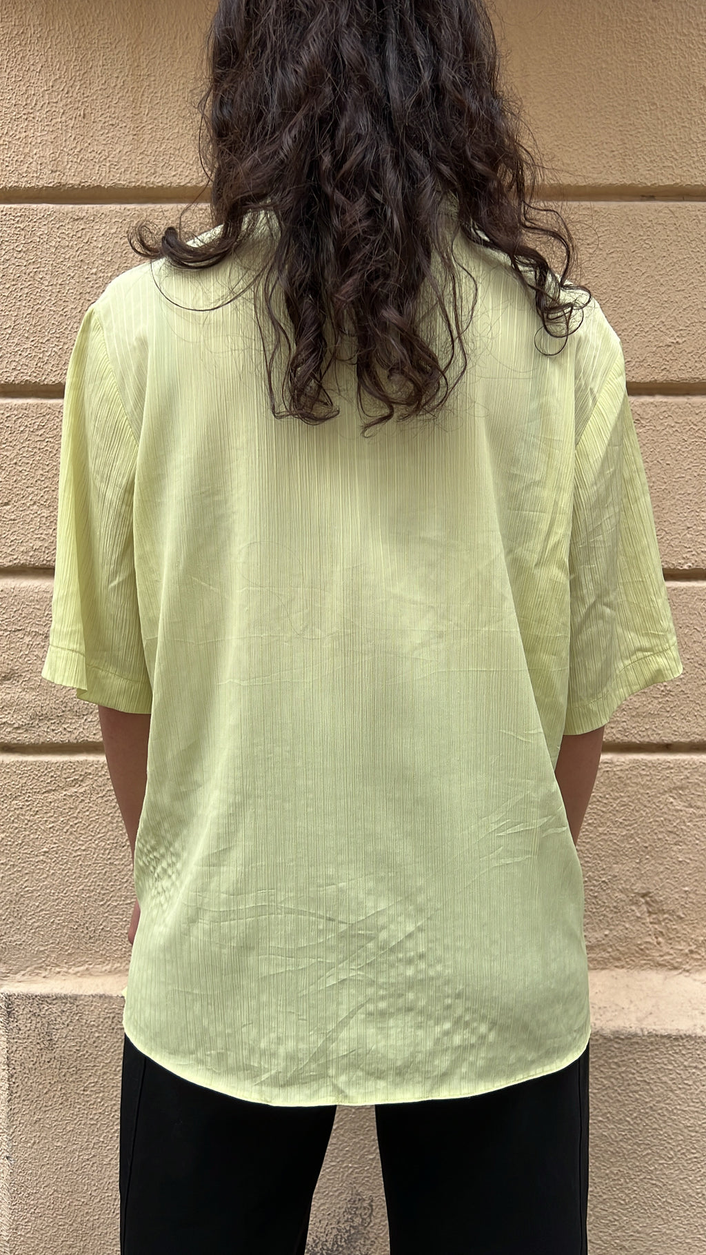 Pastel Lime Blouse