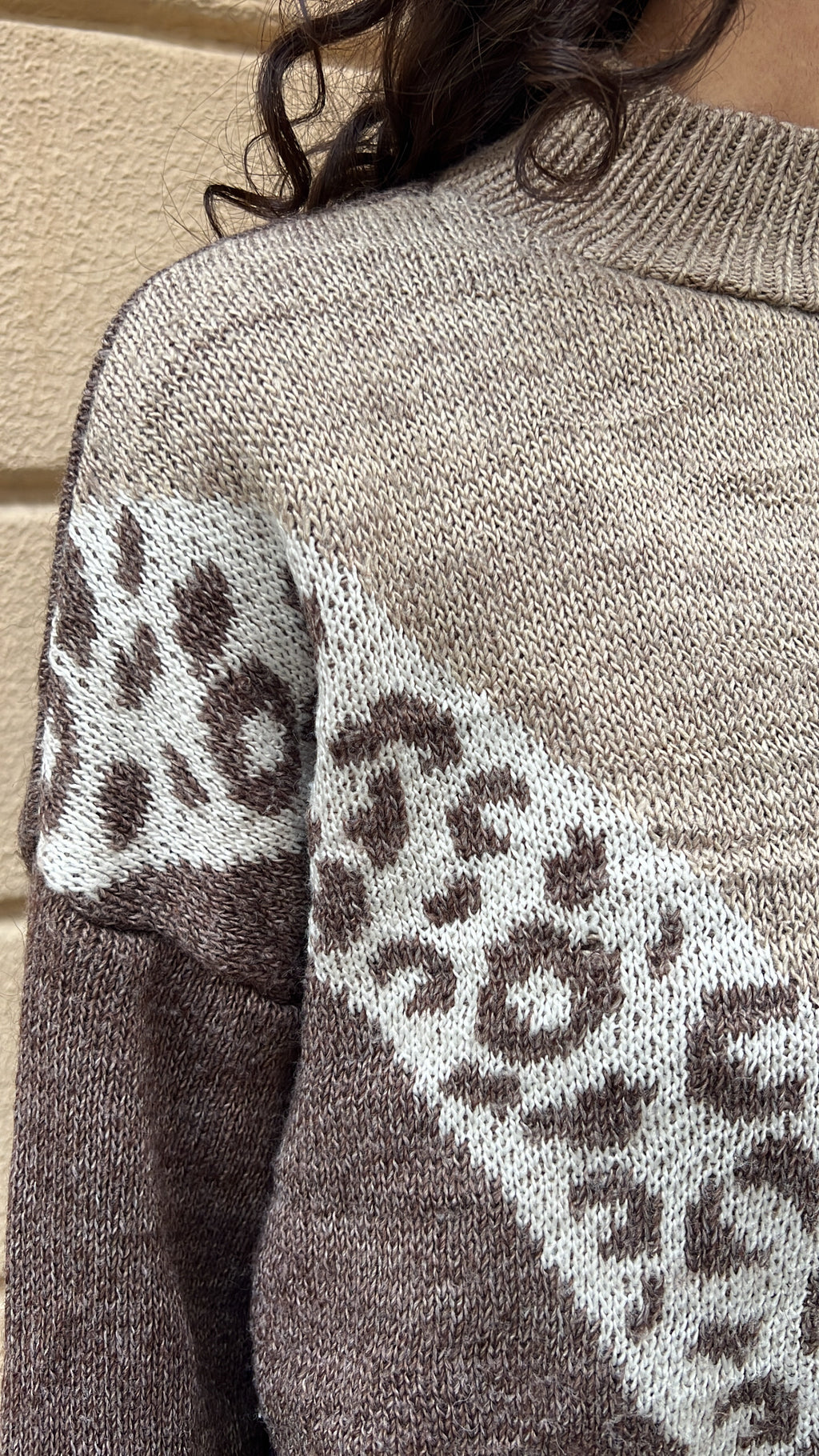 Brown Animal Print Knit Sweater
