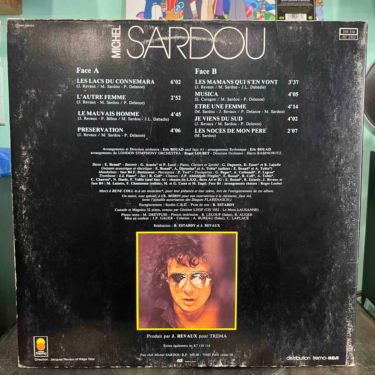 Michel Sardou - Les Lacs Du Connemara