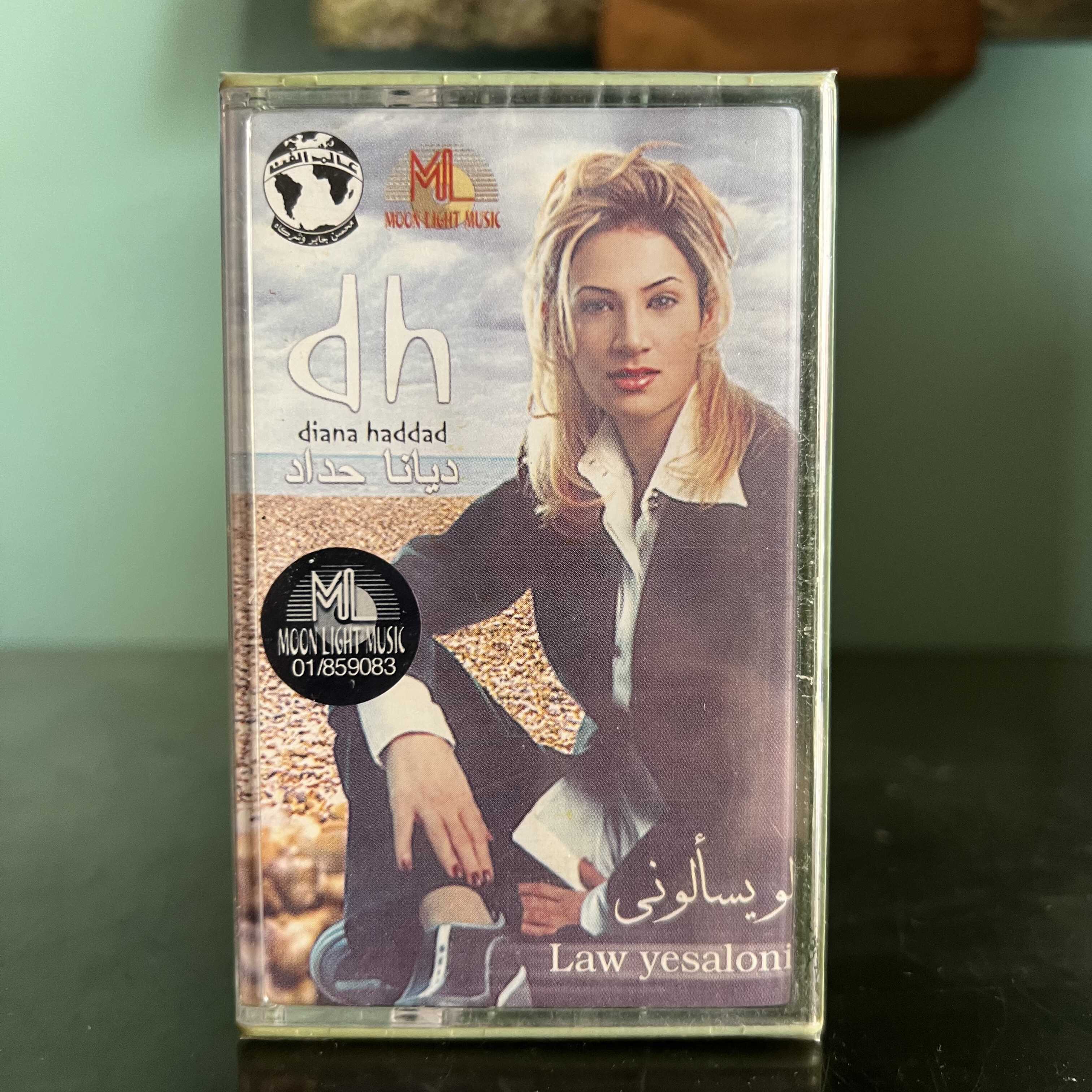 Diana Haddad - Law Yesaloni