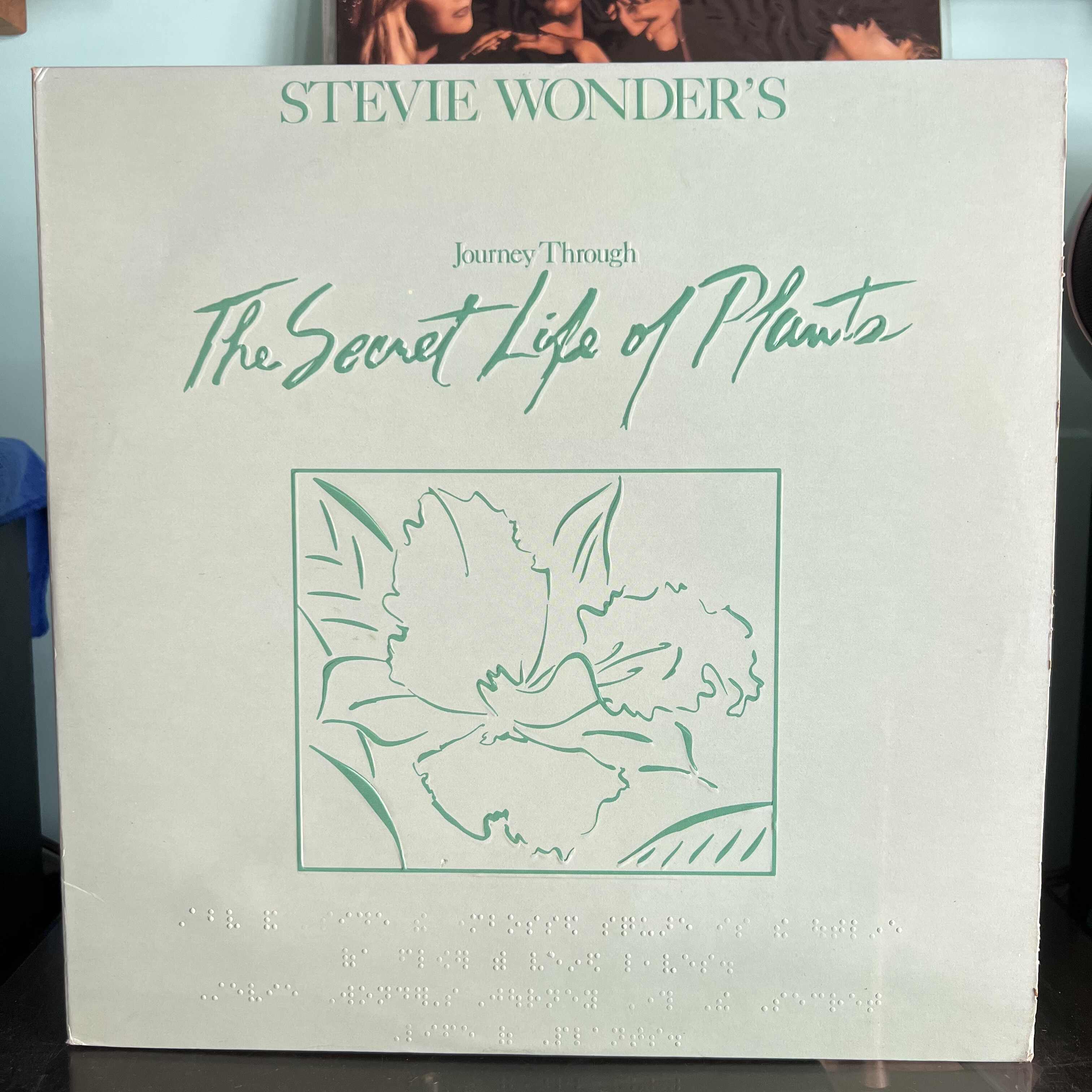 Stevie Wonder - Journey Through The Secret Life Of Plants