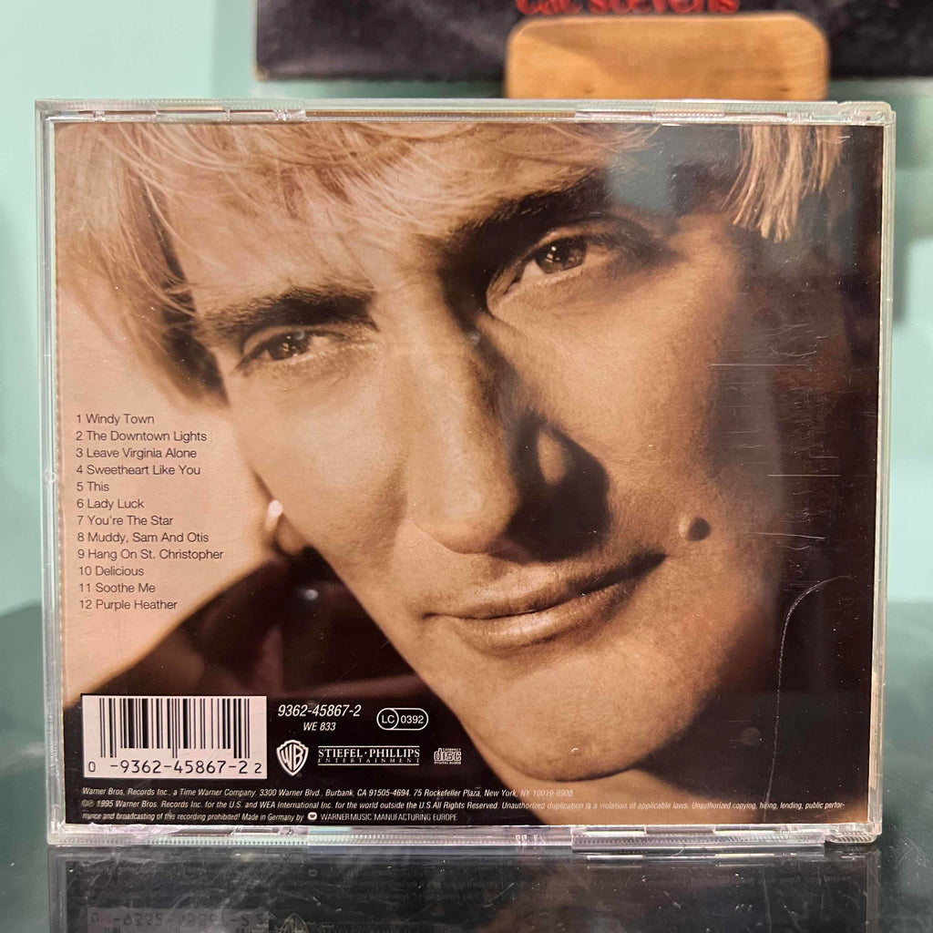 Rod Stewart - A Spanner In The Works