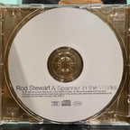 Rod Stewart - A Spanner In The Works