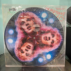Peter Frampton - Frampton Comes Alive (Picture Disc)