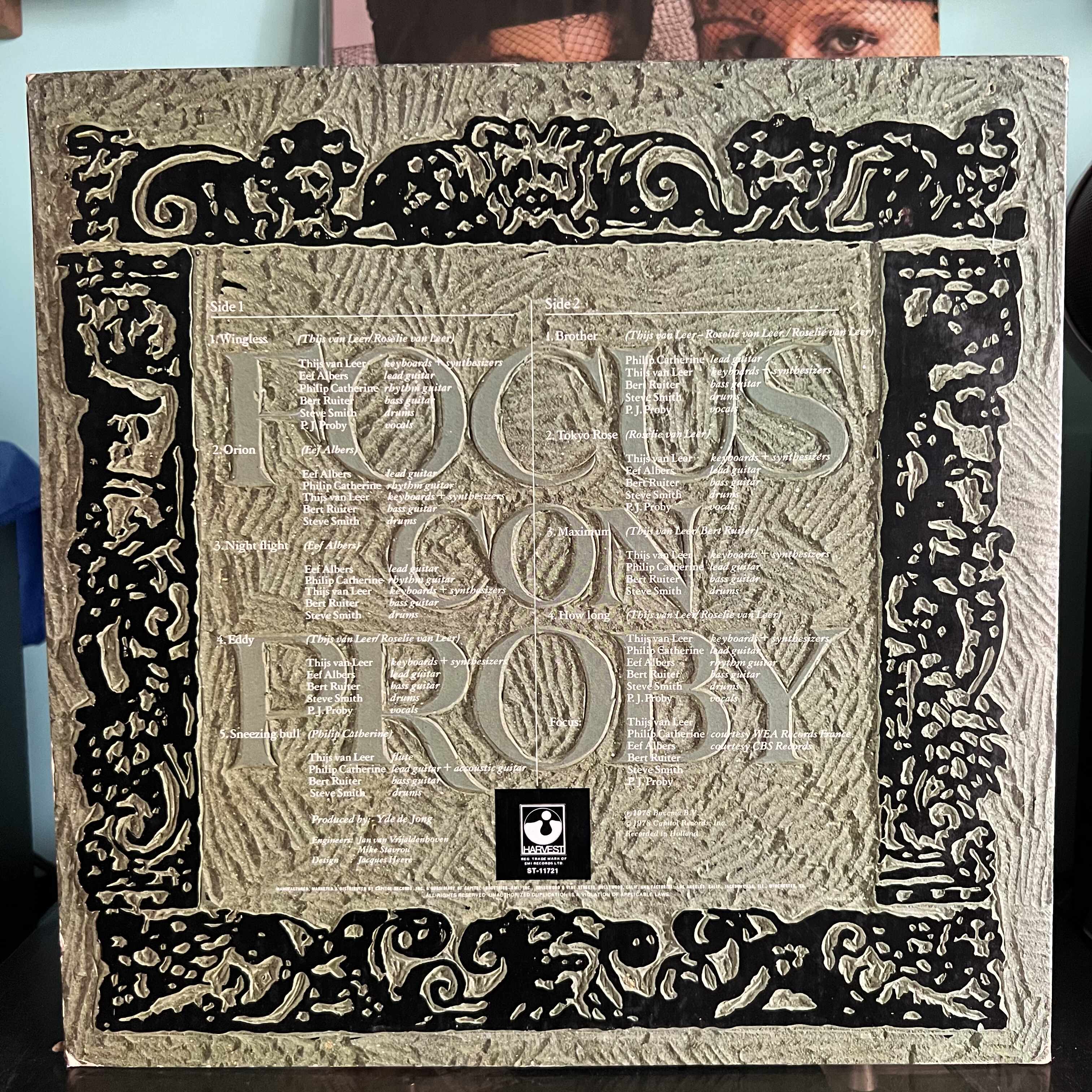 Focus Con Proby