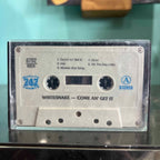 Whitesnake - Come An' Get It