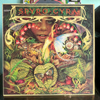 Spyro Gyra - Morning Dance