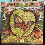 Spyro Gyra - Morning Dance