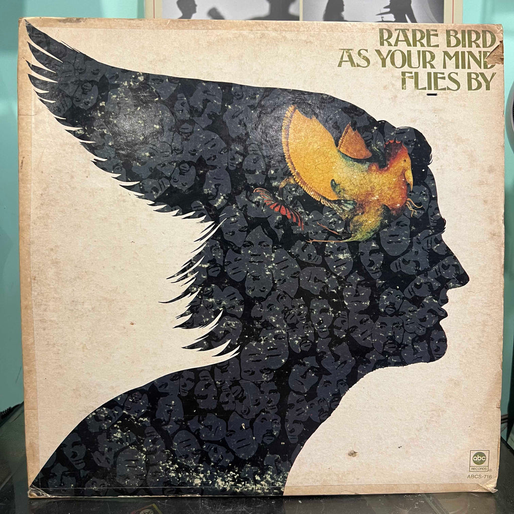 Rare Bird - As Your Mind Flies By