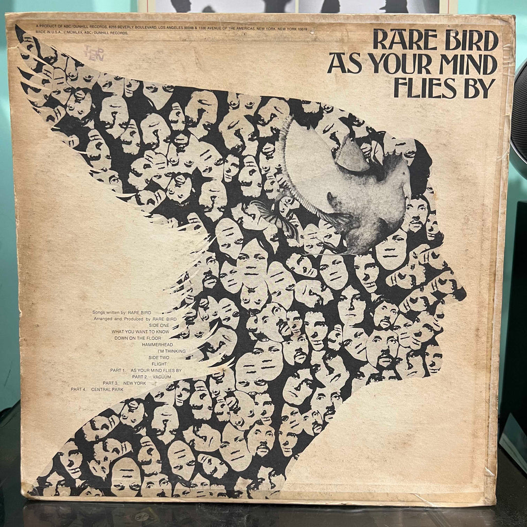 Rare Bird - As Your Mind Flies By