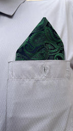 Paisley Tie and Pocket Square Set