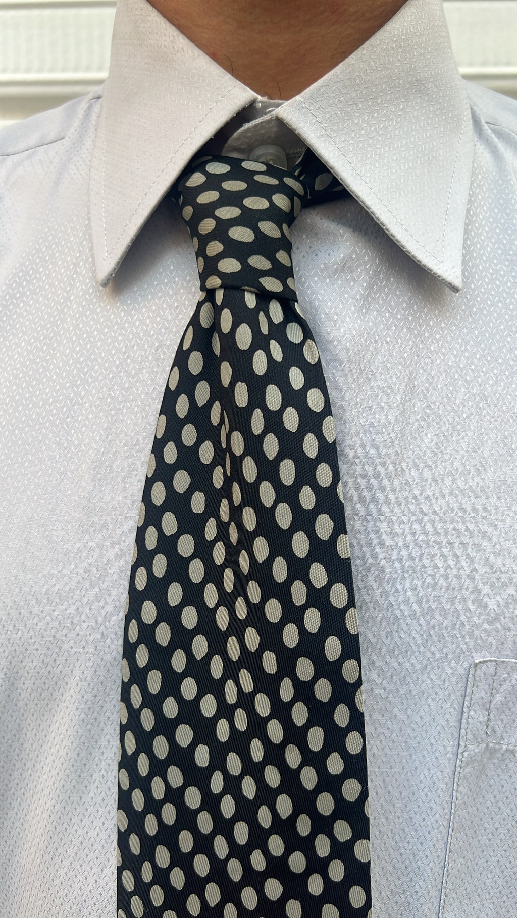 Black Polka Dot Tie